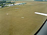 abbeville-sheep_sm.jpg