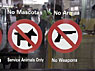 sdq-noweapons.jpg